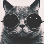 Atif's Avatar